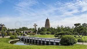 姜堰附近绿化苗木市场在哪里啊